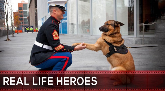 REAL LIFE HEROES | 2015 | Faith In Humanity Restored | (Video)